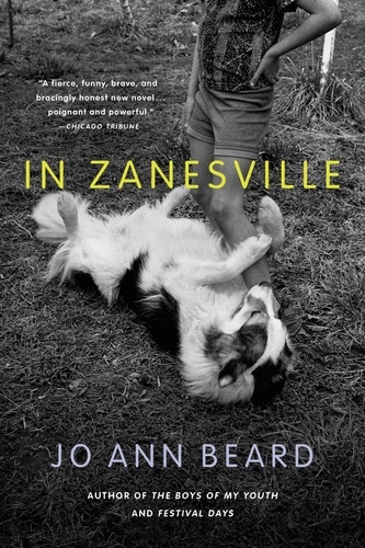 In Zanesville. A Novel