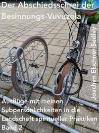 Der Abschiedsschrei der Besinnungs-Vuvuzela