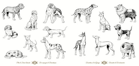 Animals. Handmade illustration. 850 illustrations vintage