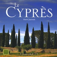 Le cyprès
