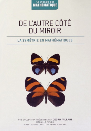 Joaquin Navarro - De l'autre côté du miroir - La symétrie en mathématiques.