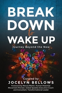  Jocelyn Bellows et  Marcia Martin - Break Down to Wake Up: Journey Beyond the Now.