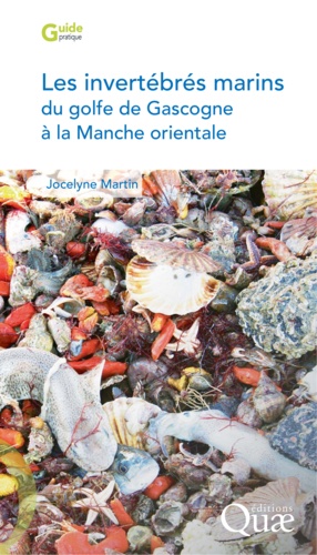 Les invertébrés marins du golfe de Gascogne à la Manche orientale