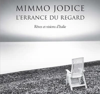 L'errance du regard