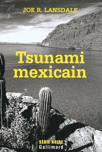 Joe R. Lansdale - Tsunami mexicain.