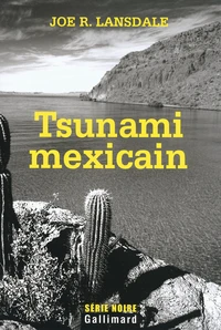 Tsunami mexicain