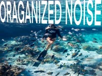 Organized Noise