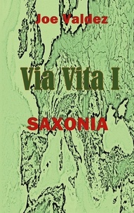 Joe Valdez - Via Vita I - Saxonia.