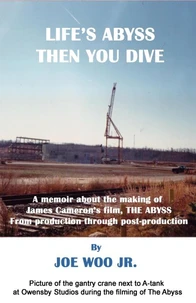 Life’s Abyss Then You Dive