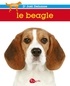 Joël Dehasse - Le beagle.