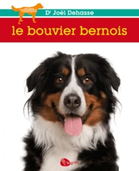 Le bouvier bernois