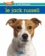 Le Jack Russell