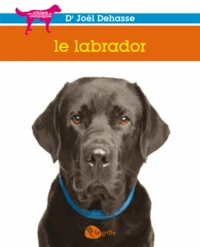 Le labrador