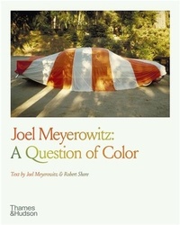 Joel Meyerowitz et Robert Shore - Joel Meyerowitz: A Question of Colour.