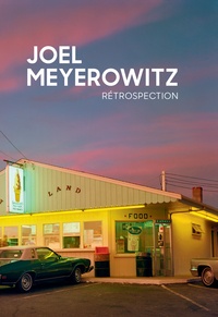 Joel Meyerowitz - Rétrospection.