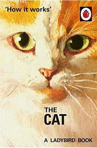How it works :  the cats