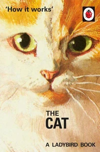 How it works :  the cats