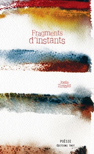 Joëlle Zirnhelt - Fragments d'instants.