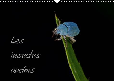 CALVENDO Animaux  Les insectes audois (Calendrier mural 2020 DIN A3 horizontal). Photographies d'insectes du département de l'Aude (Calendrier mensuel, 14 Pages )
