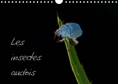 CALVENDO Animaux  Les insectes audois (Calendrier mural 2020 DIN A4 horizontal). Photographies d'insectes du département de l'Aude (Calendrier mensuel, 14 Pages )