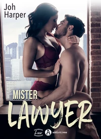 Mister Lawyer
