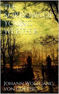 Johann Wolfgang von Goethe - The Sorrows of Young Werther.