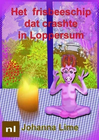 Het frisbeeschip dat crashte in Loppersum