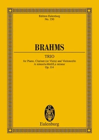 Trio La mineur
