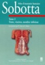 Johannes Sobotta - Atlas D'Anatomie Humaine Sobotta. Tome 2, Tronc, Visceres, Membre Inferieur, 4eme Edition.