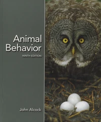 Animal Behavior