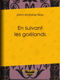 John-Antoine Nau - En suivant les goélands.