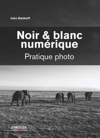 Noir & blanc numérique