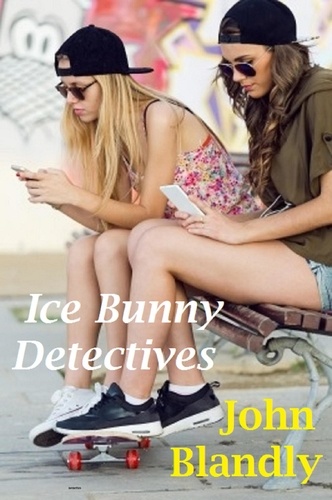  John Blandly - Ice Bunny Detectives - mystery.