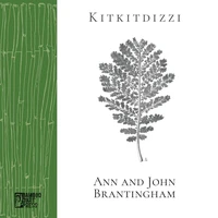 Kitkitdizzi