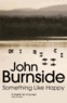 John Burnside - Something Like Happy.