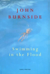 Swimming In The Flood