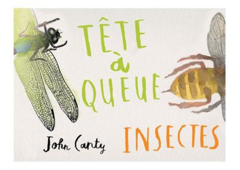 John Canty - Tête à queue - Insectes.