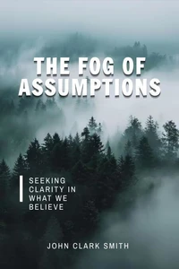 The Fog of Assumptions