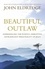 Beautiful Outlaw. Experiencing the Playful, Disruptive, Extravagant Personality of Jesus