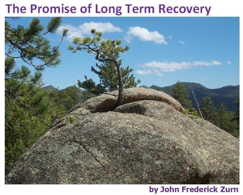  John Frederick Zurn - The Promise of Long Term Recovery.