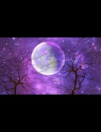 Whispers of Forgotten Stars: A Compilation of Poems and Short Stories
