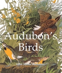 John James Audubon - Mega Square  : Audubon's Birds.