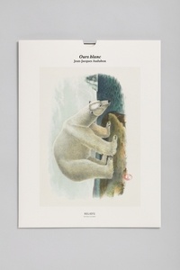 John-James Audubon - Ours blanc - Une illustration imprimée sur un papier de création avec 1 livet autour de l'oeuvre.