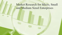 Market Research for Micro, Small and Medium Sized Enterprises