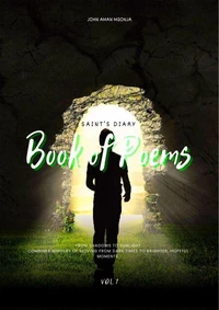 Saints Diary Vol 1