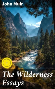 The Wilderness Essays