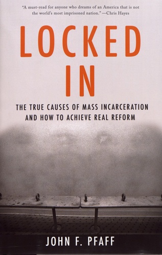 Locked In. The True Causes of Mass Incarceration and How to Achieve Real Reform