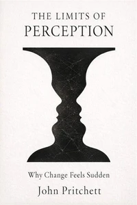 The Limits of Perception: Why Change Feels Sudden