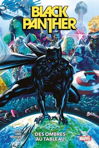 Black Panther Tome 1 Des ombres au tableau. Livres 1 à 4