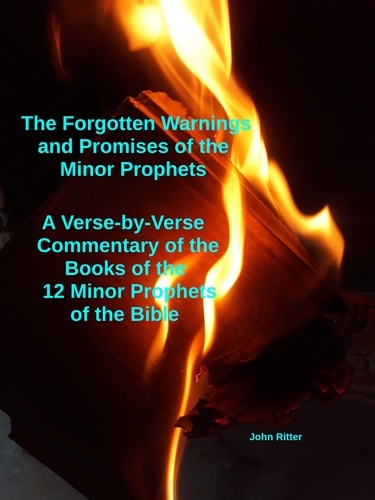  john ritter - The Forgotten Warnings and Promises of the Minor Prophets A Verse-by-Verse Commentary of the Books of  the 12 Minor Prophets of the Bible.